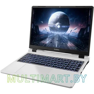 Игровой ноутбук Colorful EVOL P16 TA (A10205400050) картинка 3